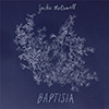 baptisia-100x